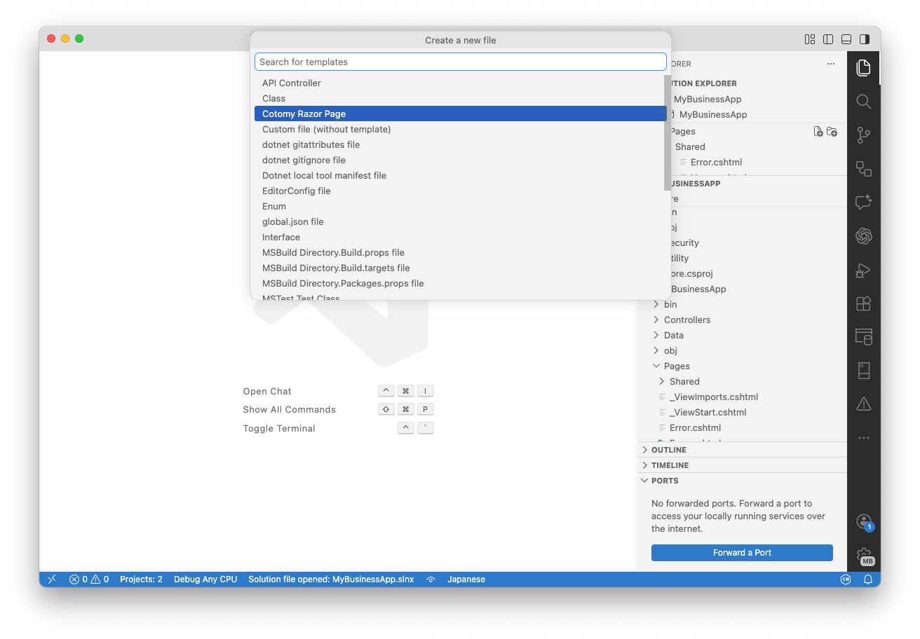 VS Code showing Standard and Professional in the template selection flow